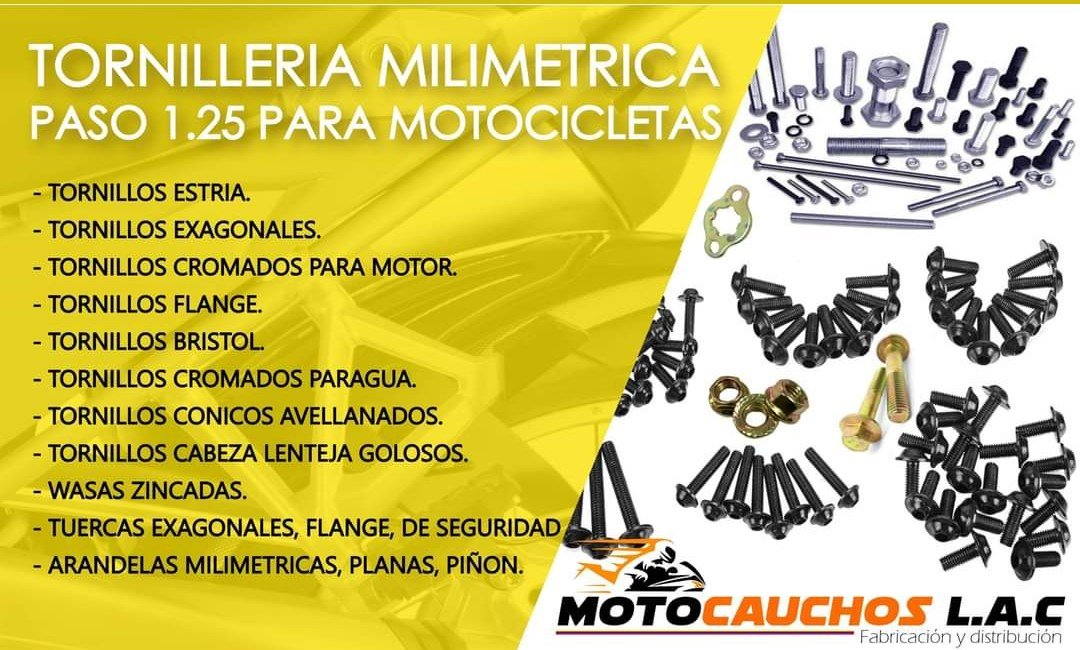 Tornillería milimétrica paso 1.25 para motocicletas